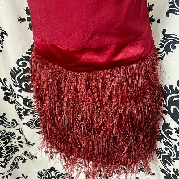 Ark & Co Burgundy Feathered Mini Dress NWT - Picture 2 of 7